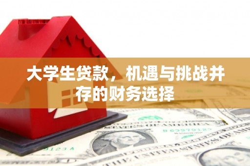 北仑大学生贷款，机遇与挑战并存的财务选择