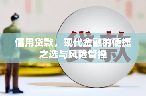 北仑信用贷款，现代金融的便捷之选与风险管控