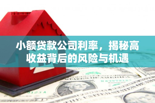 北仑小额贷款公司利率，揭秘高收益背后的风险与机遇