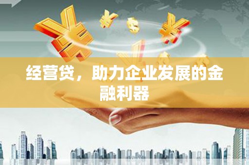 北仑经营贷，助力企业发展的金融利器