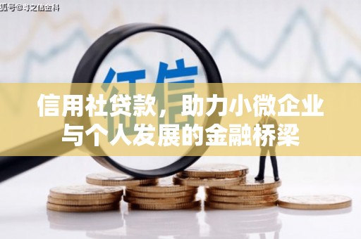 北仑信用社贷款，助力小微企业与个人发展的金融桥梁