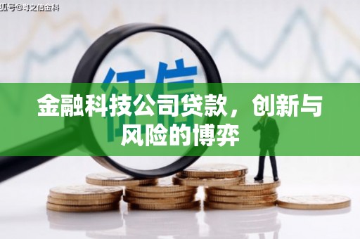 北仑金融科技公司贷款，创新与风险的博弈
