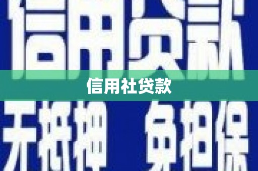 北仑信用社贷款