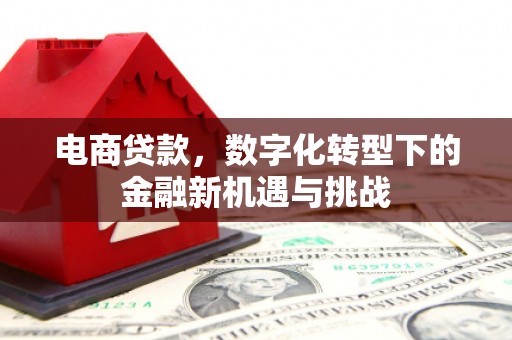 北仑电商贷款，数字化转型下的金融新机遇与挑战
