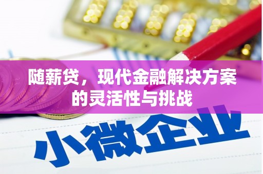 北仑随薪贷，现代金融解决方案的灵活性与挑战