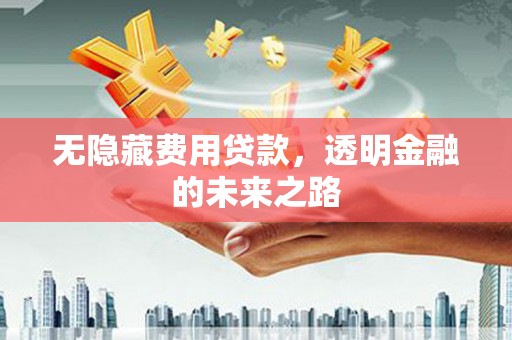 北仑无隐藏费用贷款，透明金融的未来之路