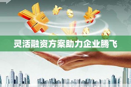 北仑灵活融资方案助力企业腾飞