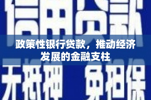 北仑政策性银行贷款，推动经济发展的金融支柱