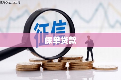 北仑保单贷款