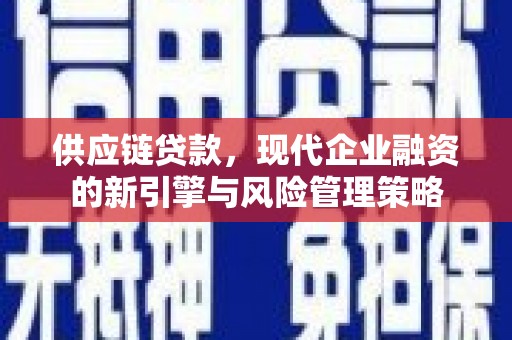 北仑供应链贷款，现代企业融资的新引擎与风险管理策略