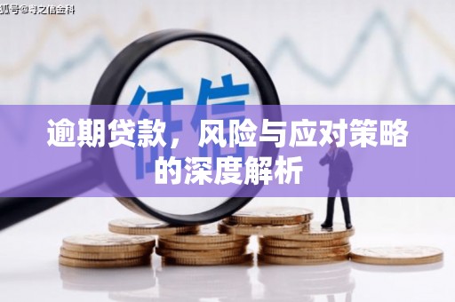 北仑逾期贷款，风险与应对策略的深度解析