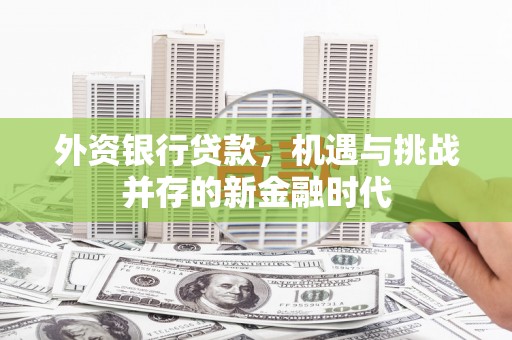 北仑外资银行贷款，机遇与挑战并存的新金融时代