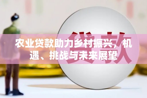 北仑农业贷款助力乡村振兴，机遇、挑战与未来展望