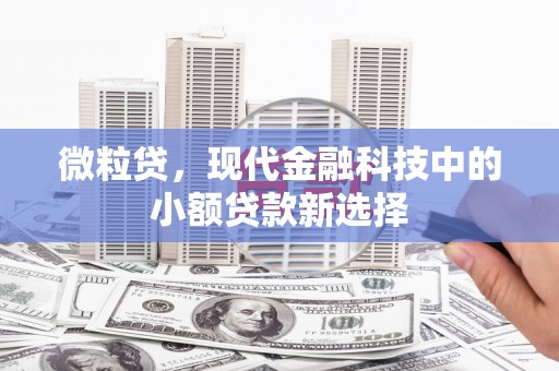 北仑微粒贷，现代金融科技中的小额贷款新选择