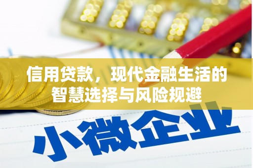北仑信用贷款，现代金融生活的智慧选择与风险规避