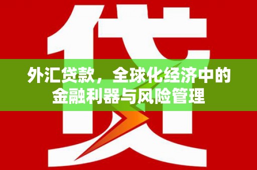 北仑外汇贷款，全球化经济中的金融利器与风险管理
