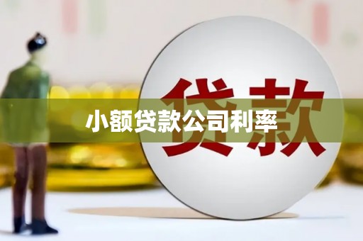 北仑小额贷款公司利率