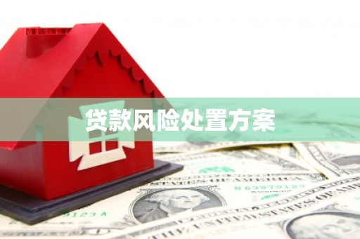 北仑贷款风险处置方案