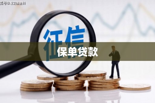北仑保单贷款