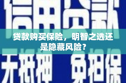 北仑贷款购买保险，明智之选还是隐藏风险？
