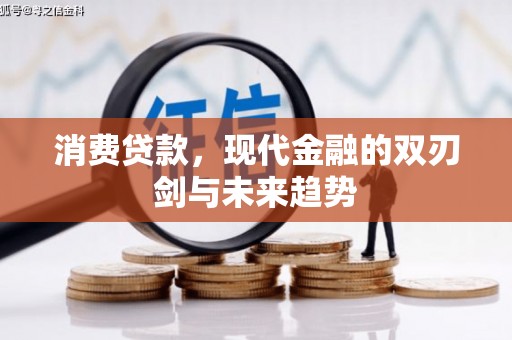 北仑消费贷款，现代金融的双刃剑与未来趋势