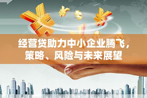 北仑经营贷助力中小企业腾飞，策略、风险与未来展望