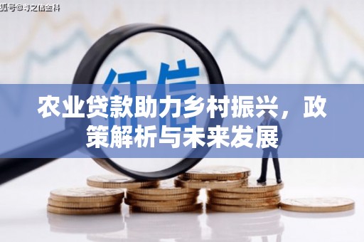 北仑农业贷款助力乡村振兴，政策解析与未来发展