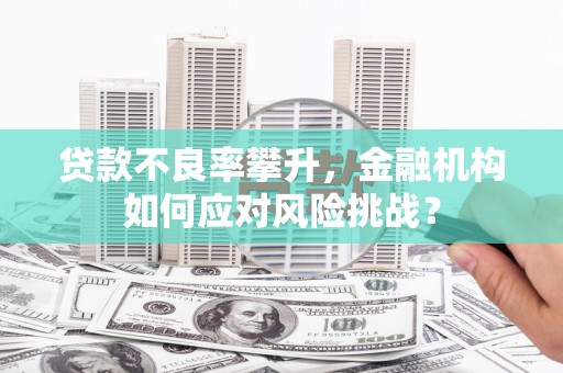 北仑贷款不良率攀升，金融机构如何应对风险挑战？