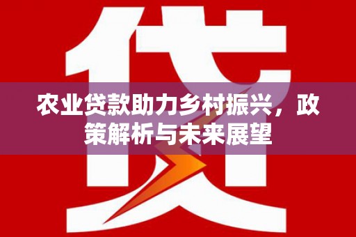 北仑农业贷款助力乡村振兴，政策解析与未来展望
