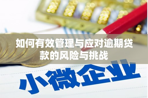 北仑如何有效管理与应对逾期贷款的风险与挑战