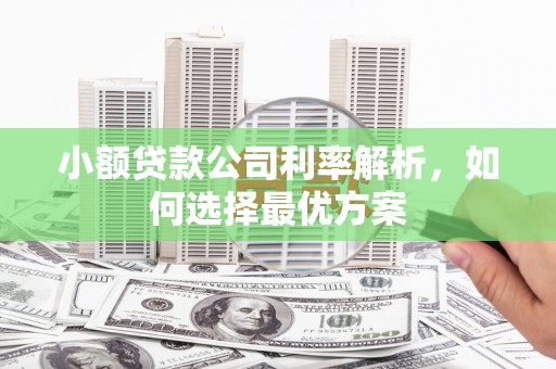 北仑小额贷款公司利率解析，如何选择最优方案