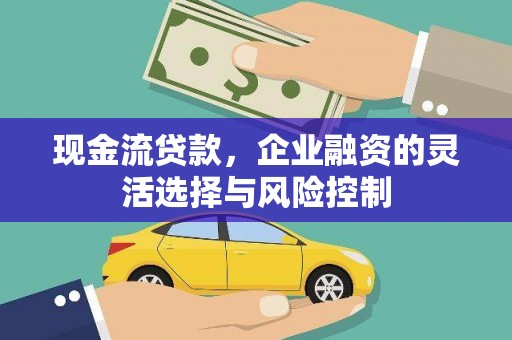 北仑现金流贷款，企业融资的灵活选择与风险控制