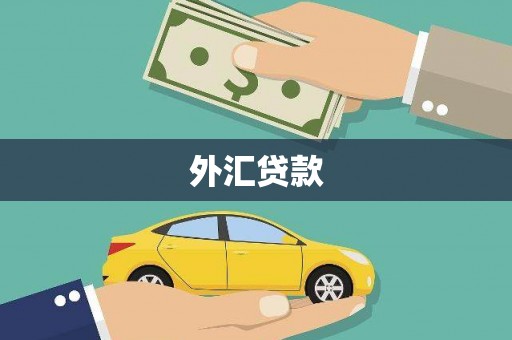 北仑外汇贷款