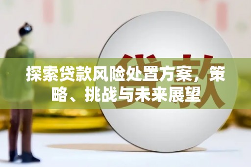 北仑探索贷款风险处置方案，策略、挑战与未来展望