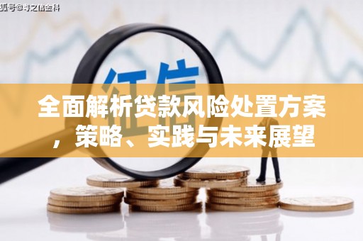 北仑全面解析贷款风险处置方案，策略、实践与未来展望