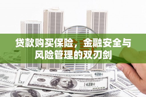 北仑贷款购买保险，金融安全与风险管理的双刃剑