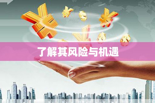 北仑了解其风险与机遇