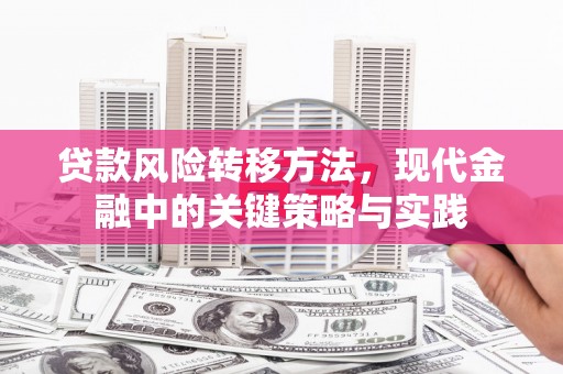 北仑贷款风险转移方法，现代金融中的关键策略与实践