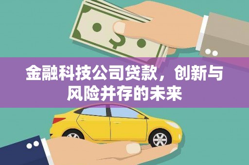 北仑金融科技公司贷款，创新与风险并存的未来