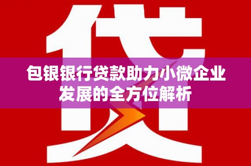 北仑包银银行贷款助力小微企业发展的全方位解析 北仑包银银行贷款助力小微企业发展的全方位解析