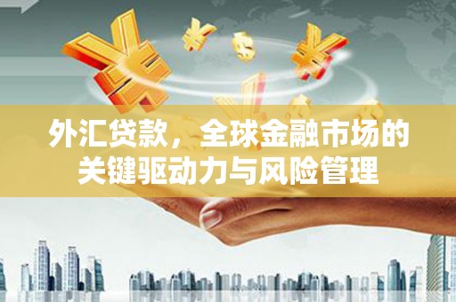 北仑外汇贷款，全球金融市场的关键驱动力与风险管理