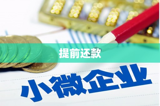 北仑提前还款