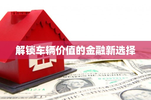 北仑解锁车辆价值的金融新选择
