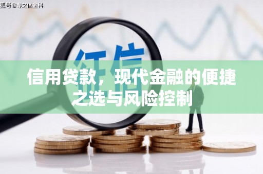 北仑信用贷款，现代金融的便捷之选与风险控制
