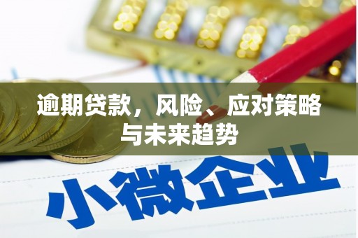 北仑逾期贷款，风险、应对策略与未来趋势