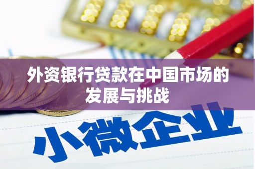 北仑外资银行贷款在中国市场的发展与挑战