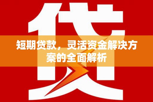 北仑短期贷款，灵活资金解决方案的全面解析