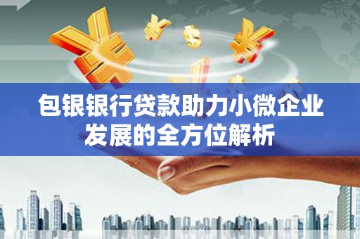 北仑包银银行贷款助力小微企业发展的全方位解析