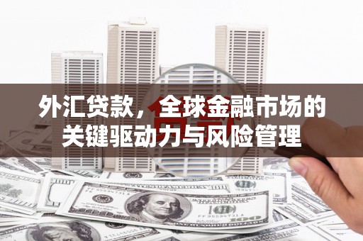 北仑外汇贷款，全球金融市场的关键驱动力与风险管理
