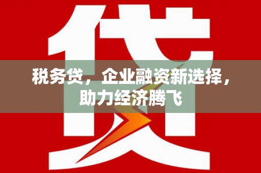 北仑税务贷，企业融资新选择，助力经济腾飞